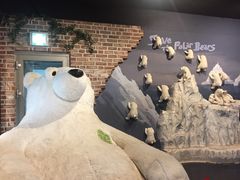 -济州岛泰迪熊博物馆