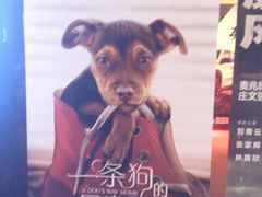 -越界思哲IMAX(寮步店)