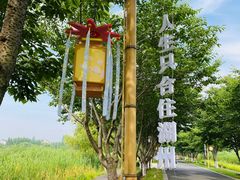 -长田漾湿地公园