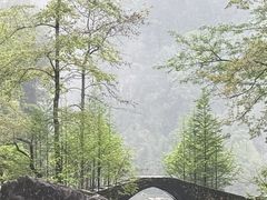 -刘伯温故里景区百丈漈