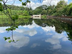 -大屏嶂森林公园