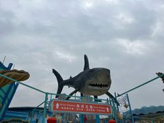 -海合安武汉极地海洋公园