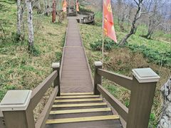 -凤凰山国家森林公园