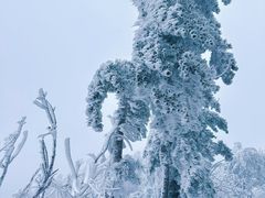 -天姥山