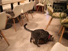 -小时光咖啡馆(北锣鼓巷店)