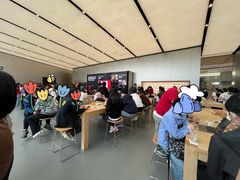 -Apple零售店(天环广场店)