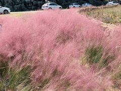 -南京市无想山景区