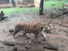 -昆明动物园