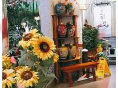 -大理董·董家小厨野生菌火锅(古城旗舰店)