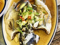 -食德喜·阳山鸡王食研基地