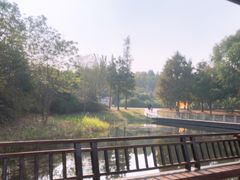 -同里国家湿地公园