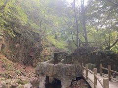 -本溪汤沟绿石谷森林公园