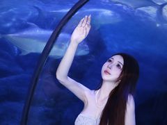 -左海海底世界