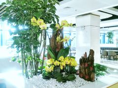 -荷兰布尔玛国际花艺学院