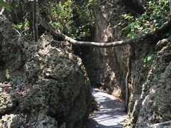 -鹅銮鼻公园