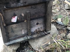 -大亚湾红树林城市湿地公园