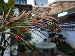 -道南書院·私房菜·早午茶·茶馆