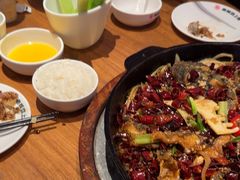 -老板恋上鱼(恒隆广场店)