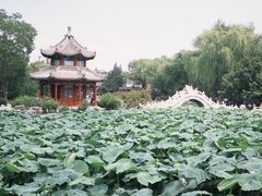 -莲池书院博物馆