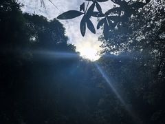 -桂林古东瀑布景区