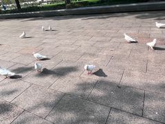 -人民广场
