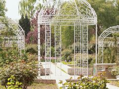 -石家庄市植物园