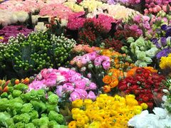 -双季花艺园艺市场(浦东店)
