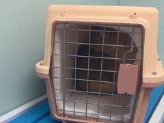-达爱动物医院·犬猫分区·CT·复杂眼科(远洋山水分院)