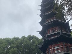 -上海佘山国家森林公园西佘山园