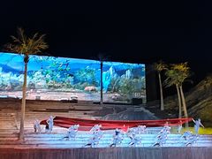 -三亚红色娘子军演艺公园景区