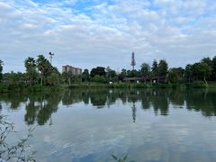 -枫香湖儿童公园