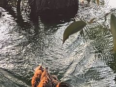-南宁南湖公园