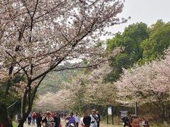 -团城山公园