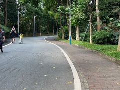 -火炉山森林公园