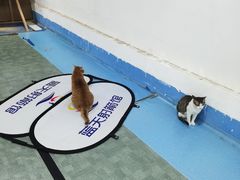 -蓝天射箭馆·专业射箭运动(诚丰广场店)