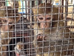 -武汉紫薇都市田园