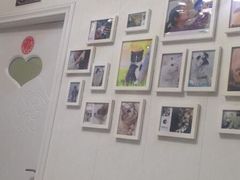 -瑞派康怡24h宠物医院·犬猫医疗中心·微创绝育(瑞景分院)