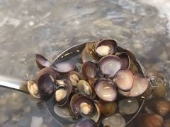 沙喇锅底-凯华海鲜火锅·传承三十六年