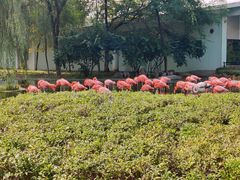 -石家庄市动物园