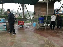 -国色天乡三期陆地乐园