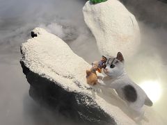 -将太无二·北美传奇寿司(荟聚购物中心西红门店)