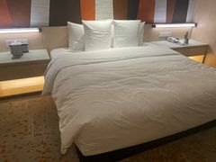-国际青年会议酒店