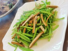 -小春农家乐