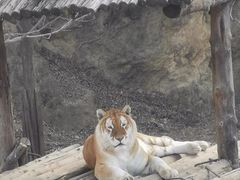 -济南野生动物世界