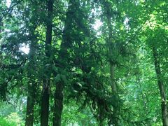 -杭州植物园