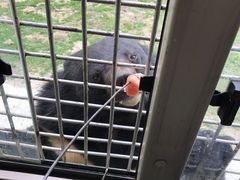 -贵州森林野生动物园