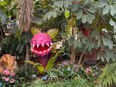 -沈阳植物园