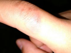 android_upload_pic-东方之珠海鲜酒楼(南开店)