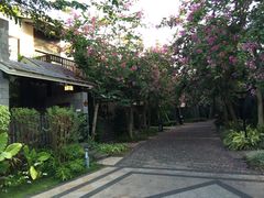 -三亚珠江南田温泉度假区