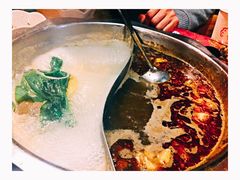 -傣妹火锅(狮子桥店)